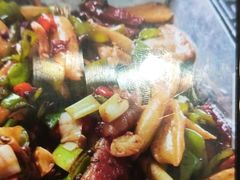 -邵年鸽(杨庄店)