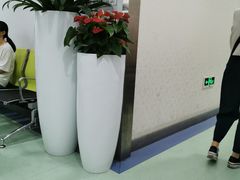 -杭州口腔医院(城西院区)