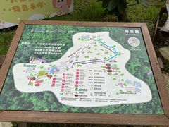 -西双版纳原始森林公园