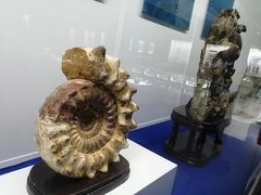 -贝壳王国博物馆