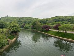 -苏州上方山国家森林公园