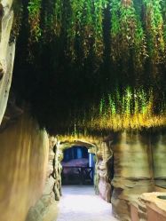 -酷嗒动物文化乐园(cutezoo西溪乐天城店)