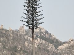 -嵖岈山风景区