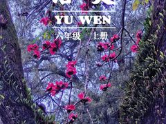 -广州中山纪念堂