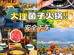 -野菌皇海景野生菌火锅(滨海大道店)