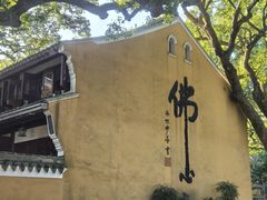 -普陀山雷迪森庄园