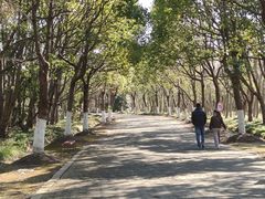 -上海海湾国家森林公园