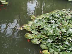 -西宁市人民公园(城西区)