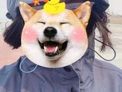 -东疆建设开发纪念公园