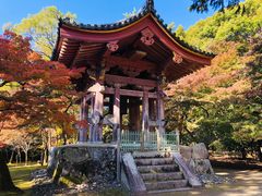 -醍醐寺
