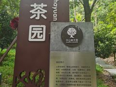 -中山市树木园