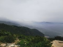 -蔡家酒楼(一德街店)