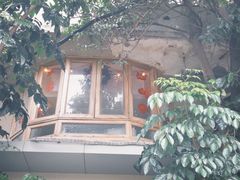 -野草莓自由市场