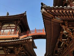 -西安青龙寺遗址景区