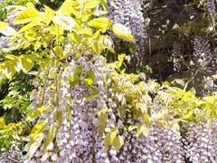 -天津盘山风景名胜区