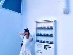 -Blue Concept Cafe&Farm·關於藍