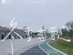 -王借岗森林公园