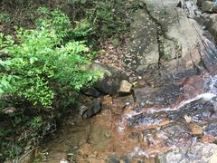 -会稽山峡洞漂流-上青古道