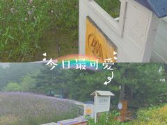 -云峰山自然风景区