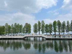 -东湖听涛景区