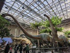 -国家自然博物馆