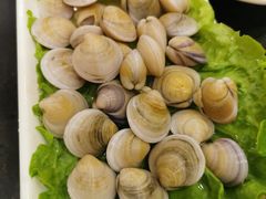 蛤蜊-吉友粥底火锅(方斜路店)