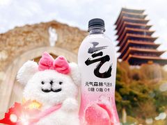 -牛首山文化旅游区