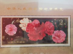 -广州市城市规划展览中心