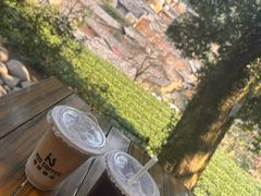 -杨家堂村