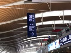 -上海浦东国际机场-T2航站楼