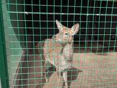 -瑞博尔花园酒店(太周创新产业园店)