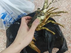 -渔人湾码头海鲜市场负二楼