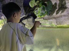 -泉城欧乐堡海洋极地世界