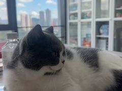 -长洲岛都市农业公园