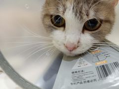 -半岛宠物医院24小时(科华中路店)