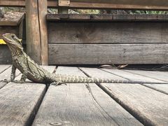 -可伦宾野生动物保护区
