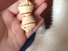 爱宠屋pet&nbsp;shop-爱宠屋pet shop·宠物洗澡·宠物美容
