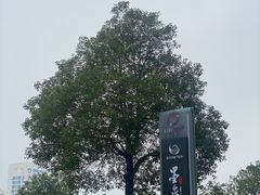-墨泉峰味(润和国际广场店)