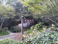 -九曜山