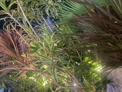 -木屋烧烤(坂田天安云谷店)