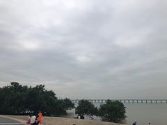 -宝安西湾红树林湿地公园