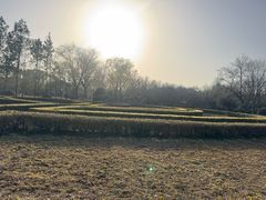 -洛阳市隋唐城遗址植物园