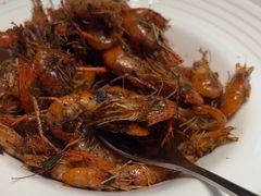 -新光酒家·河豚·海鲜·蟹料理(浦东店)