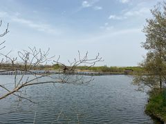 -溱湖国家湿地公园