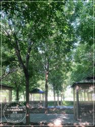 -优沃得自然教育农场·冰雪乐园·生日会·研学