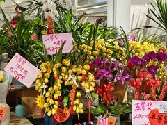 -桂林市花鸟市场