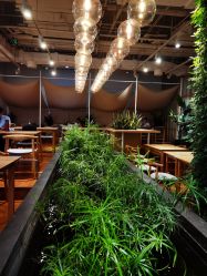 -悦诗风吟innisfree