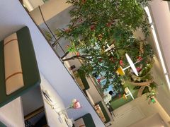 -Aqua Oasis 水天堂(太湖中心mall店)