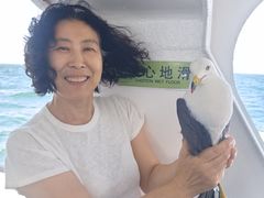 -长岛万鸟岛