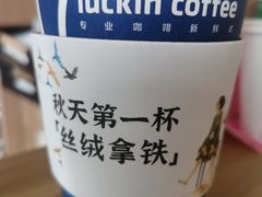 -瑞幸咖啡(北美N1购物中心店)